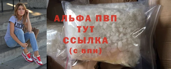 дурь Осташков